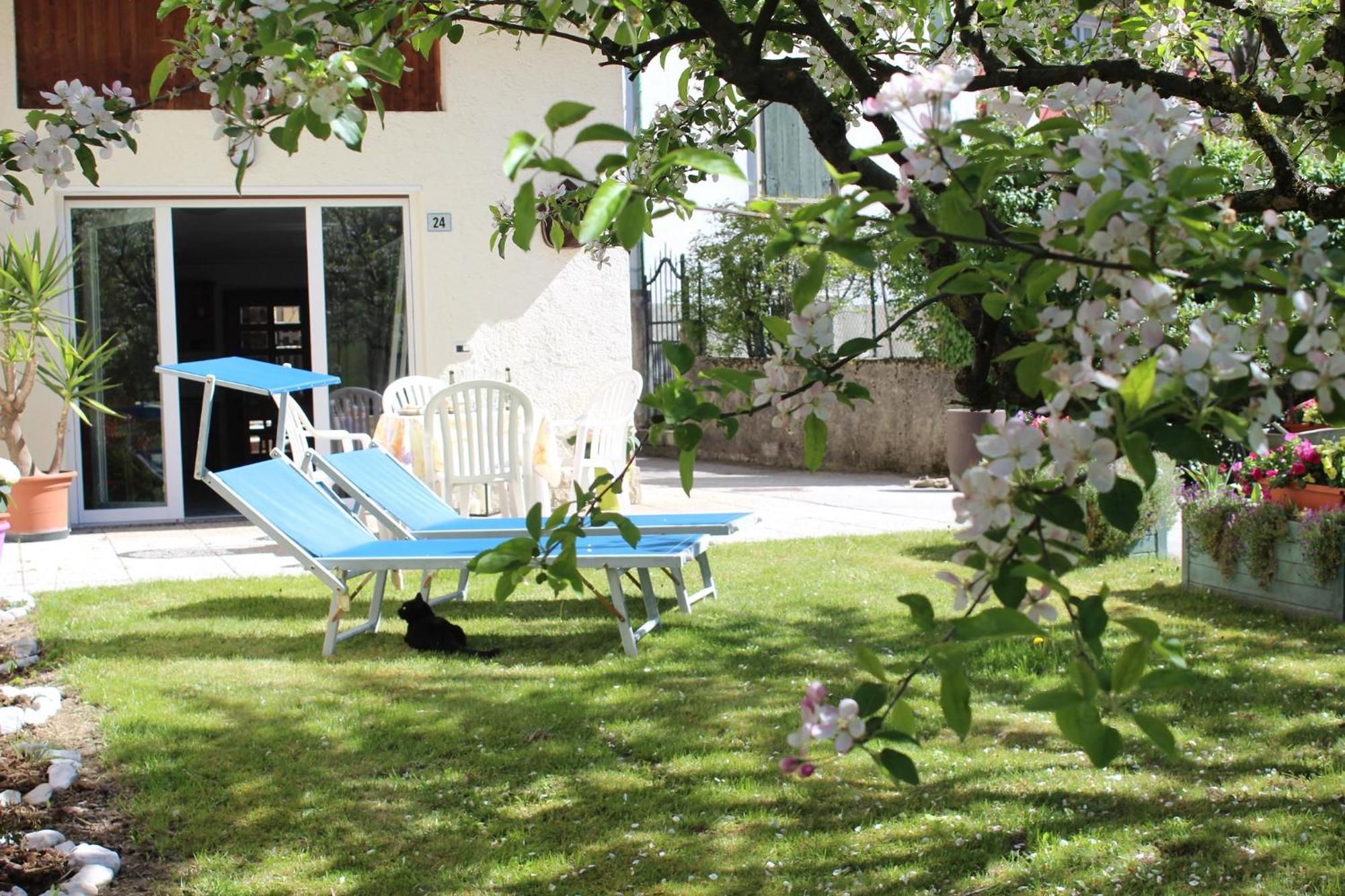 Residence Zecchini Tiarno di Sotto Pokoj fotografie